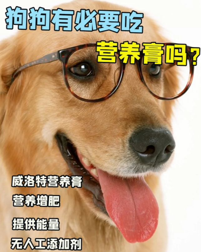 狗狗吃营养膏的禁忌