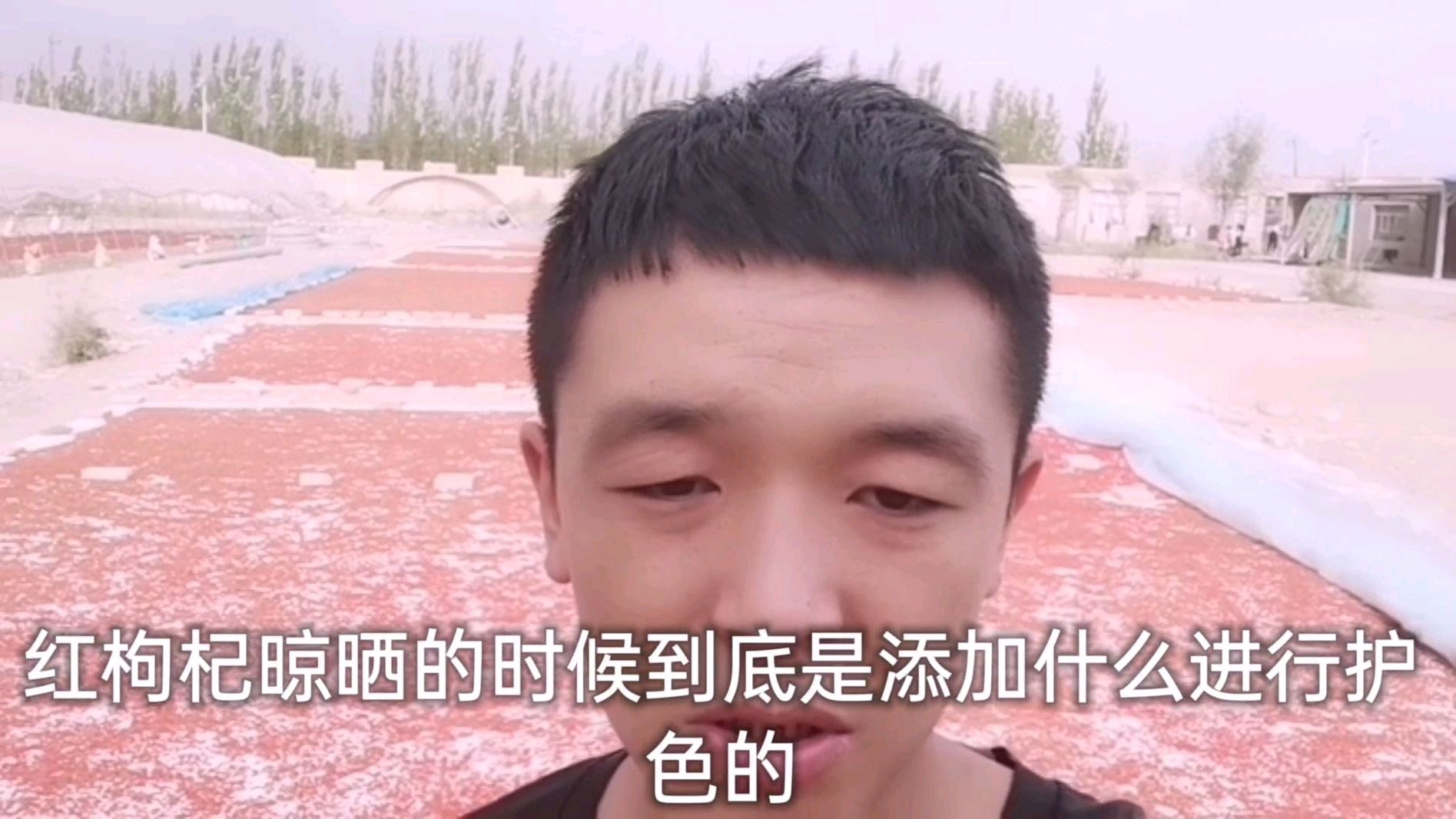揭秘红枸杞晾晒到底添加什么进行护色?不加护色剂亚纳能晒的红?