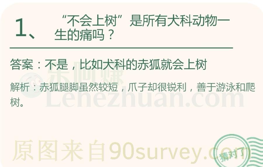 "不会上树"是所有犬科动物一生的痛吗?答案:不是,比如犬科的赤狐就会上树 "不会上树"是所有犬科动物一生的痛吗?答案:不是,比如犬科的赤狐就会上树