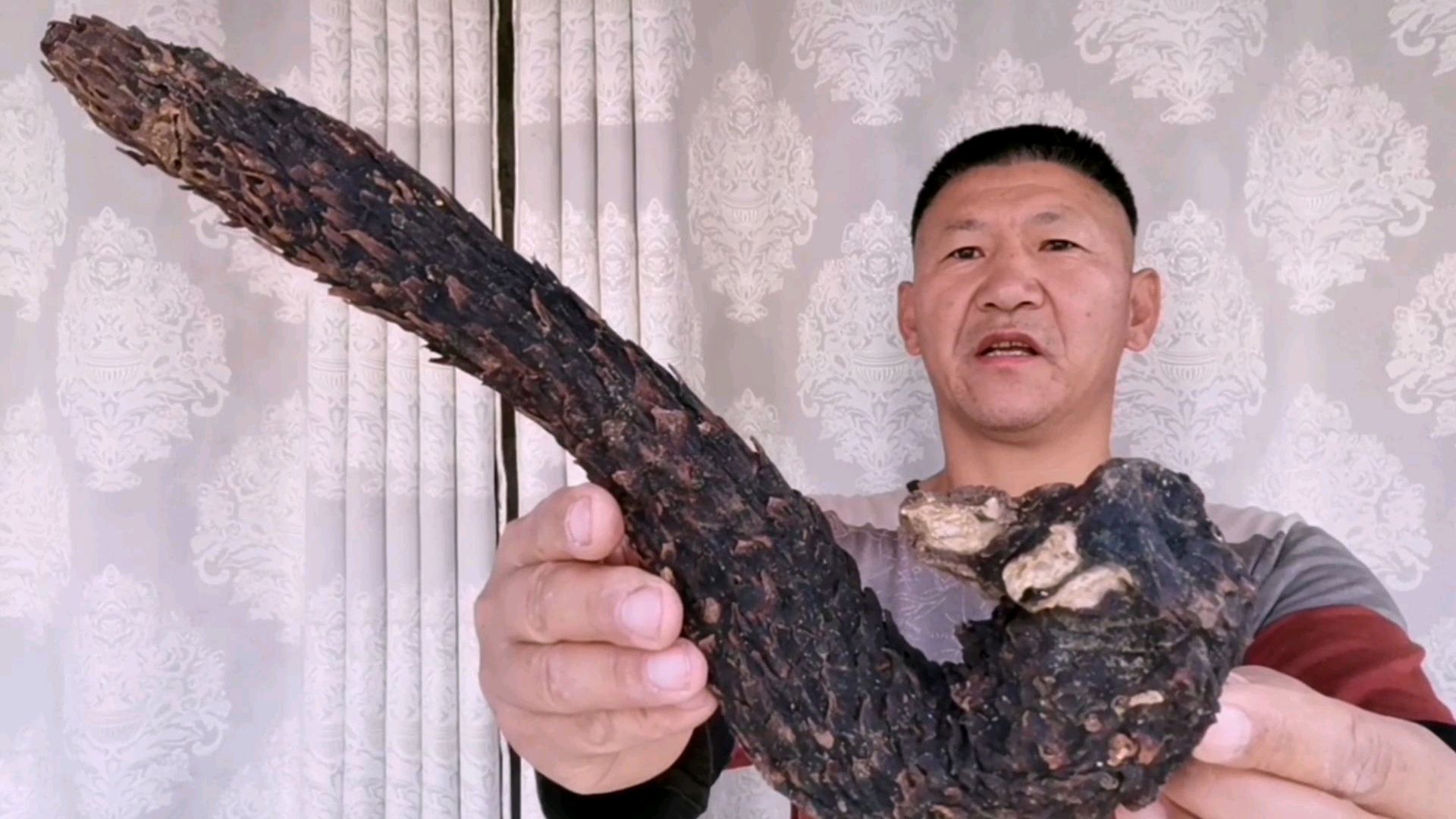 苁蓉和锁阳多少钱一斤,哪里的苁蓉和锁阳最好