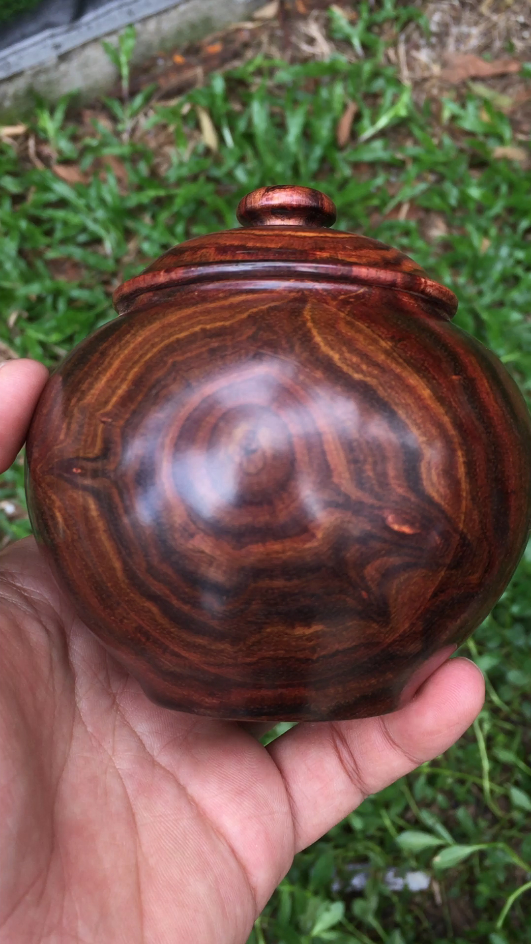 海南黄花梨紫油梨茶叶罐