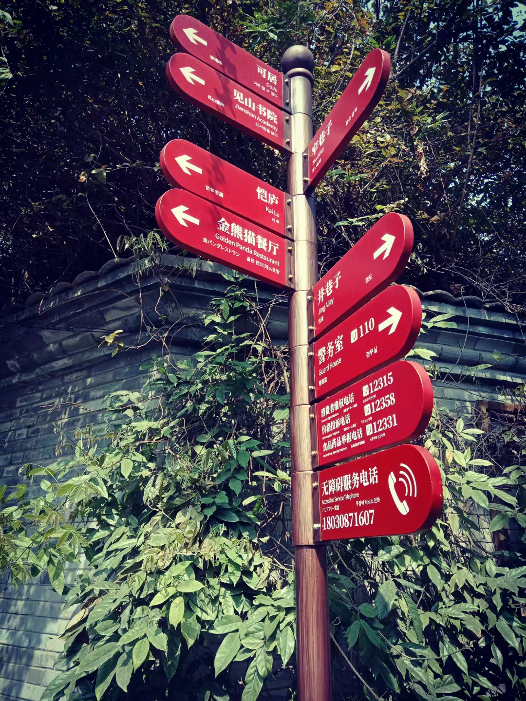 四叶草真的代表幸运吗