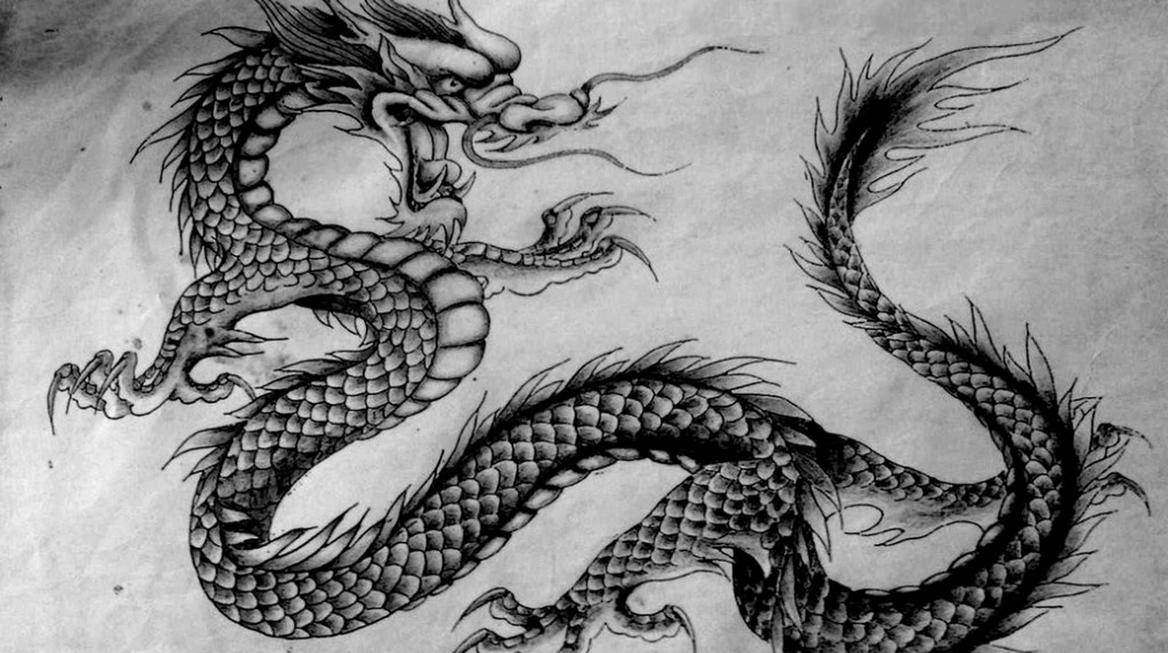 传说中的龙有着呼风唤雨,翻江倒海的强大本领,同时还是中华民族的图腾