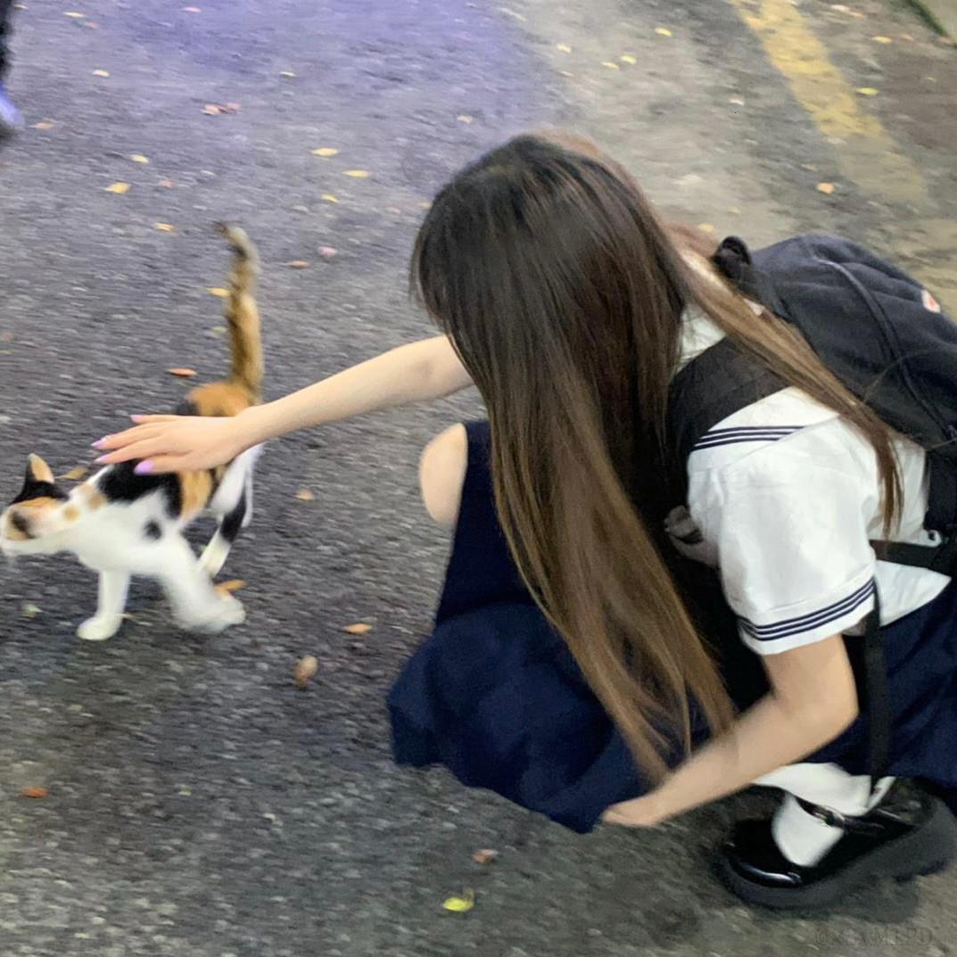 怎麼去除微博圖片水印