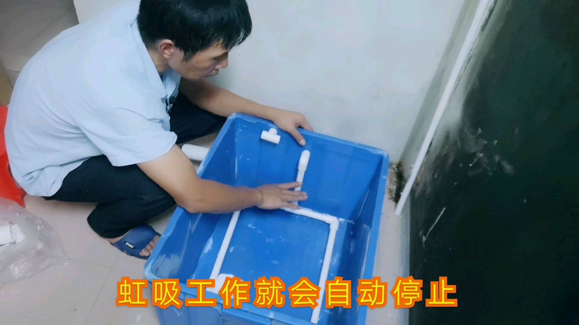 自制循环水过滤系统,巧妙地利用虹吸,实现自动排污