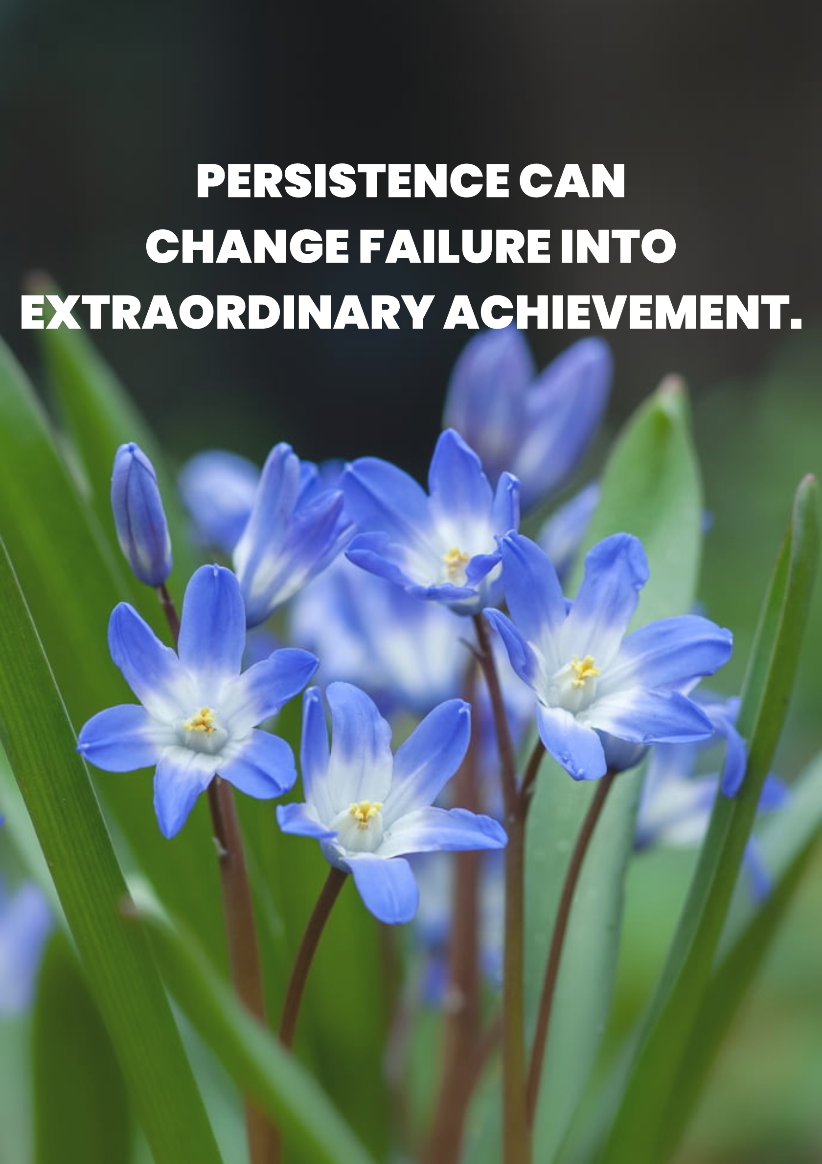 persistence can change failure into extraordinary achievement