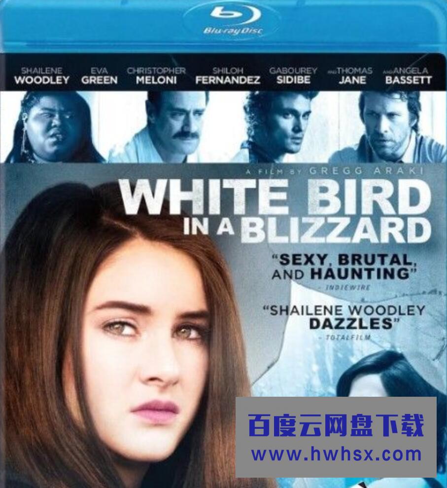 2014美国剧情惊悚《暴风雪中的白鸟》BD1080P.中英双字4k|1080p高清百度网盘