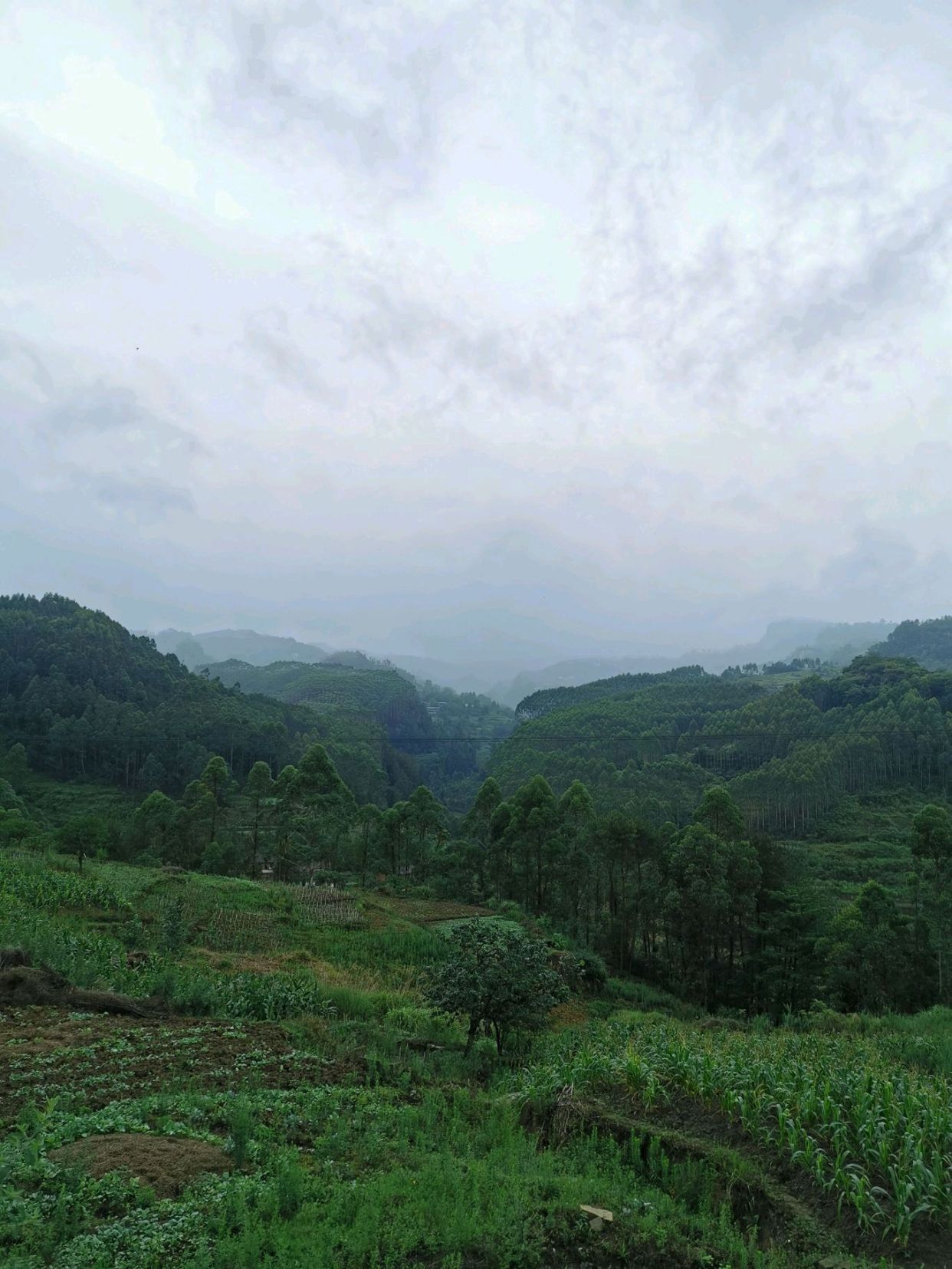 自贡荣县墨林吕仙村,那里有老君山,吕仙崖,一个让人向往的地方