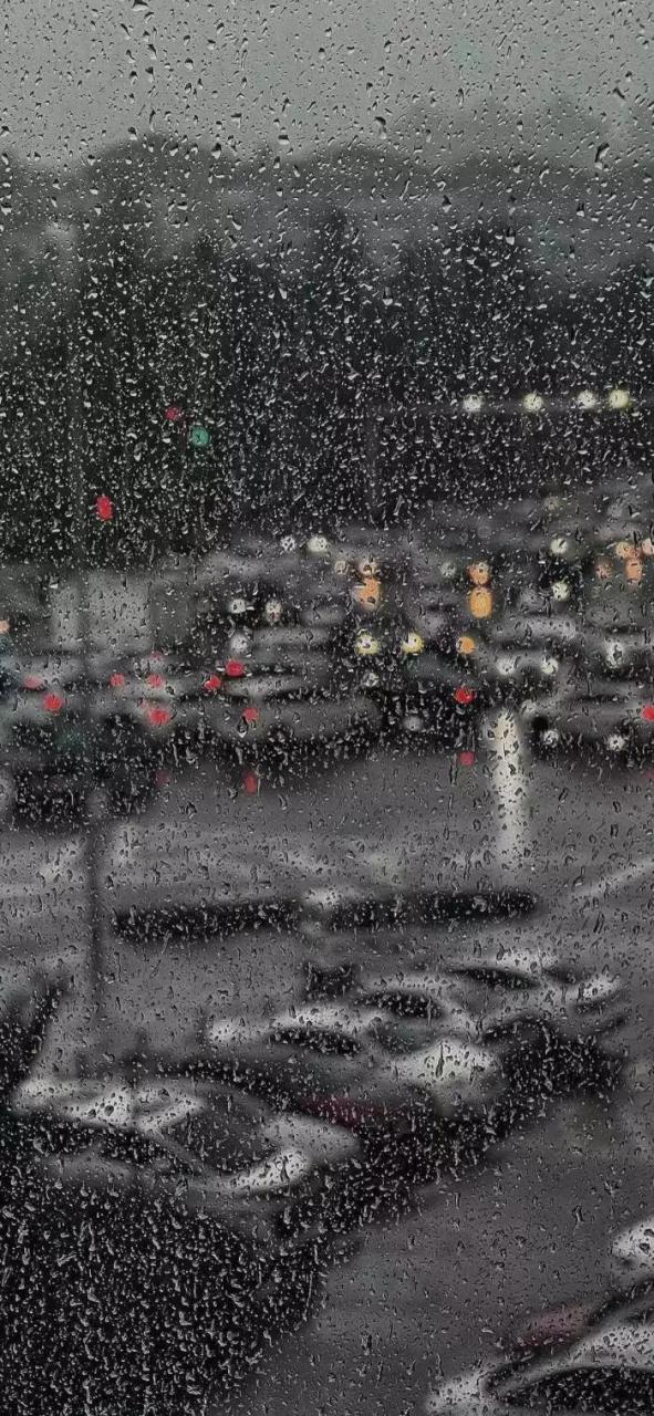 人生不是坐等暴风雨过去,而是学会在雨中起舞. 这里下雨了,你们那呢?