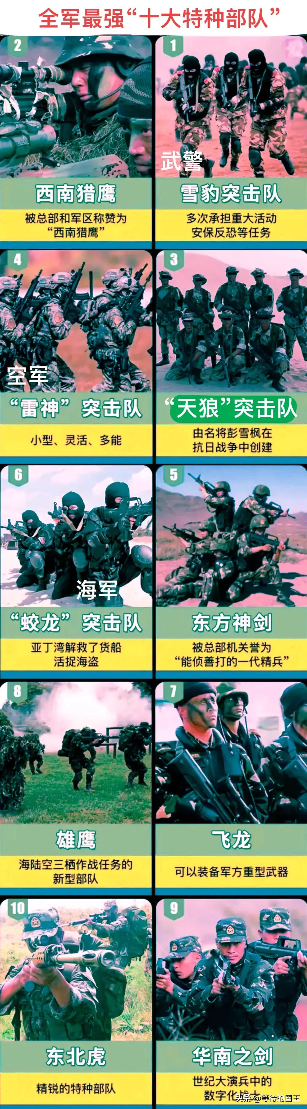 排名前三的分别是武警部队中的雪豹突击队,原成都军区的西南猎鹰特种