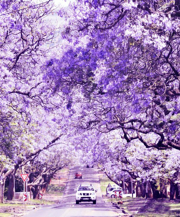 10本小说推荐:布衣千金,小户之家,金玉满堂,野人娘子,娇娘医经!