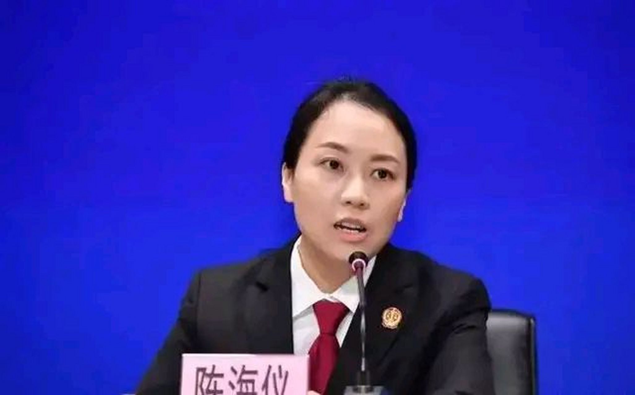 敬爱的陈法官会陆续提出很多合理的建议!