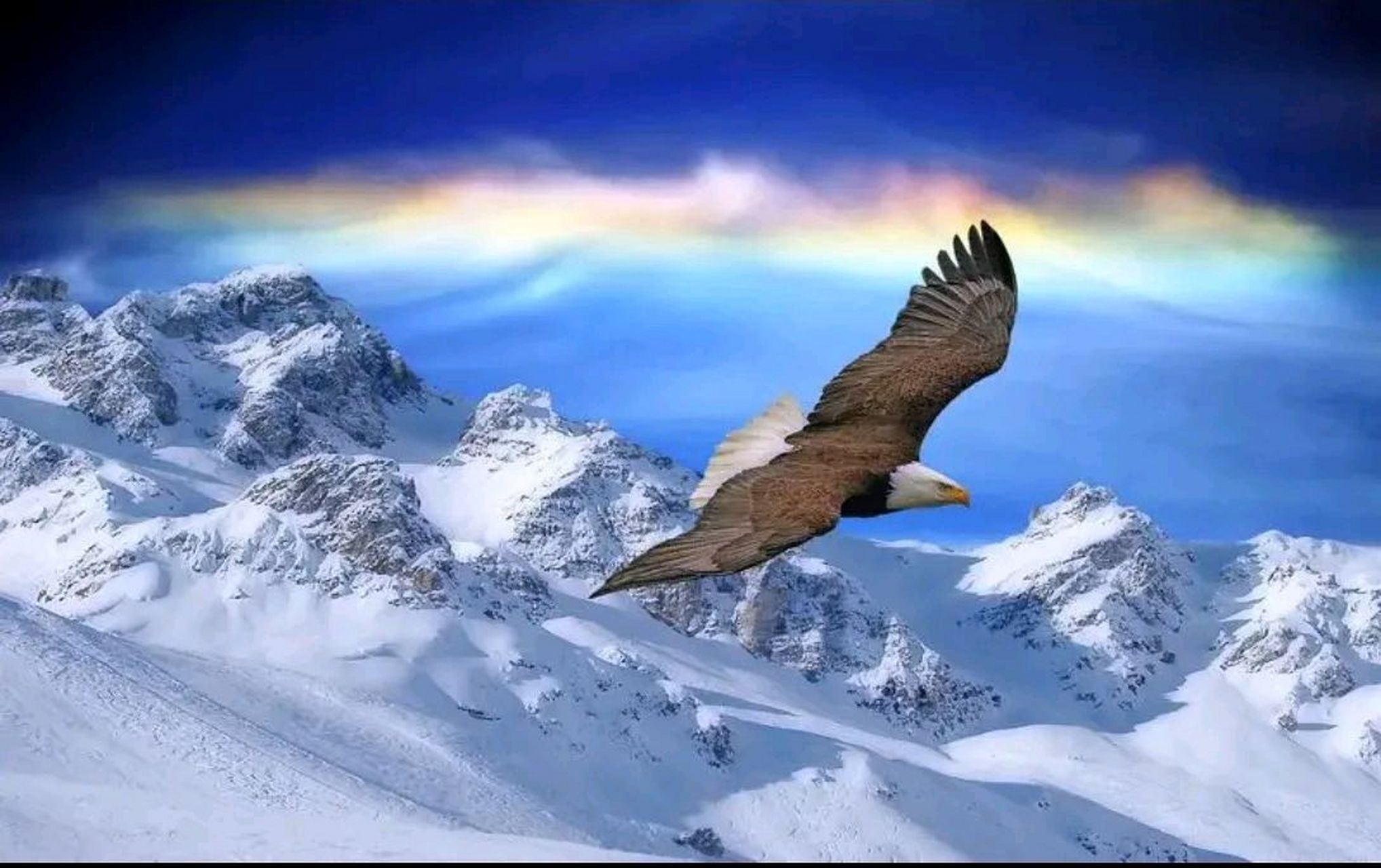 当你的修行渐深,如同雄鹰展翅高飞,能量愈发强大,体内浩然正气充盈