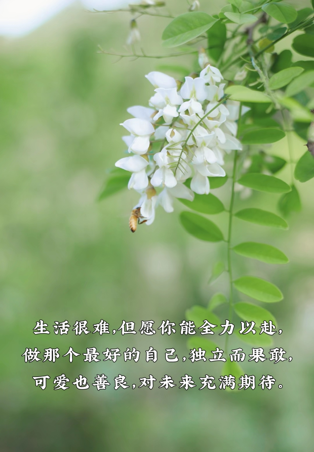 永远相信美好的事情即将发生