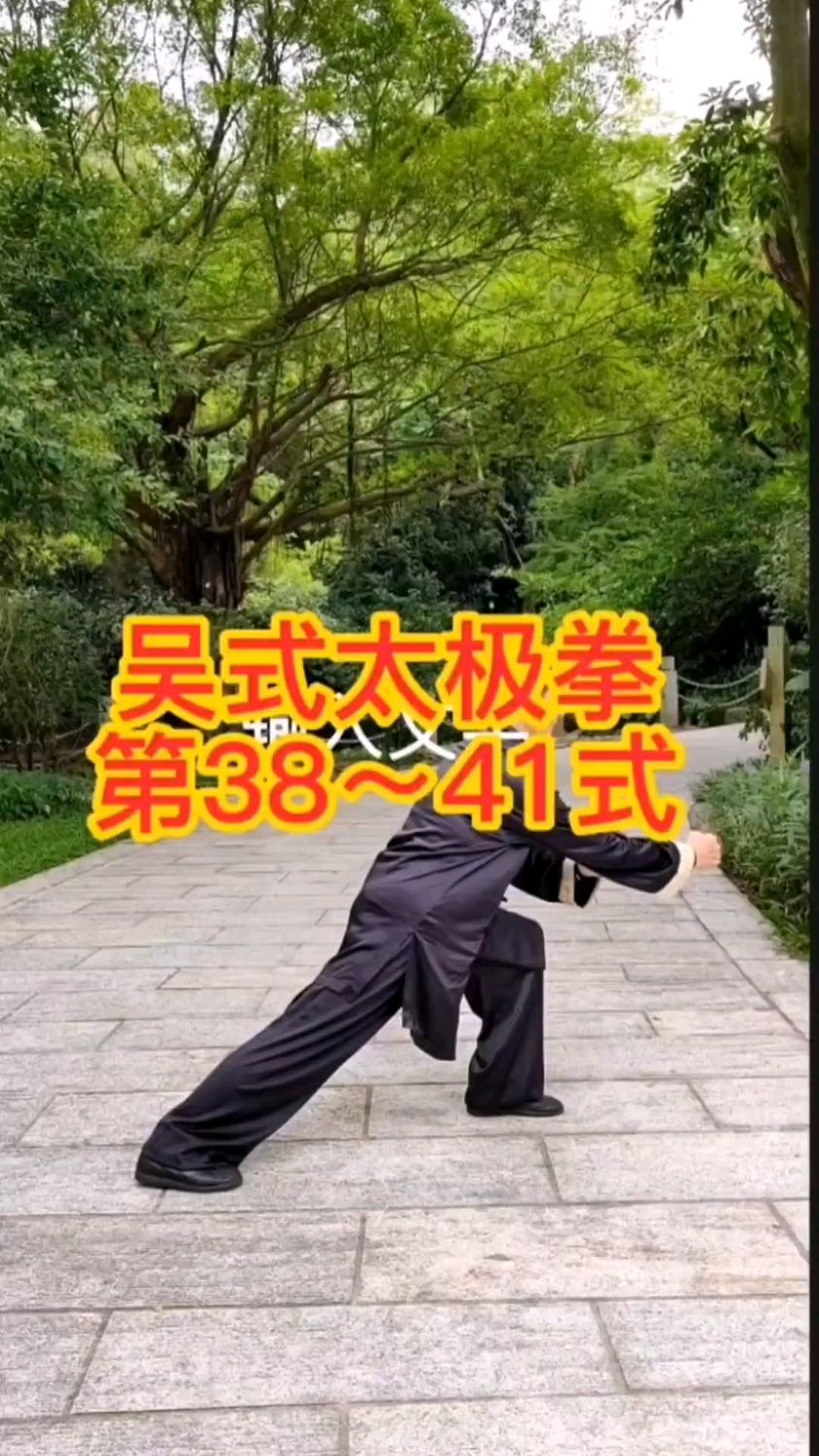 吴式太极拳竞赛套路45式第38-41式演示(深圳李红英老师)-度小视