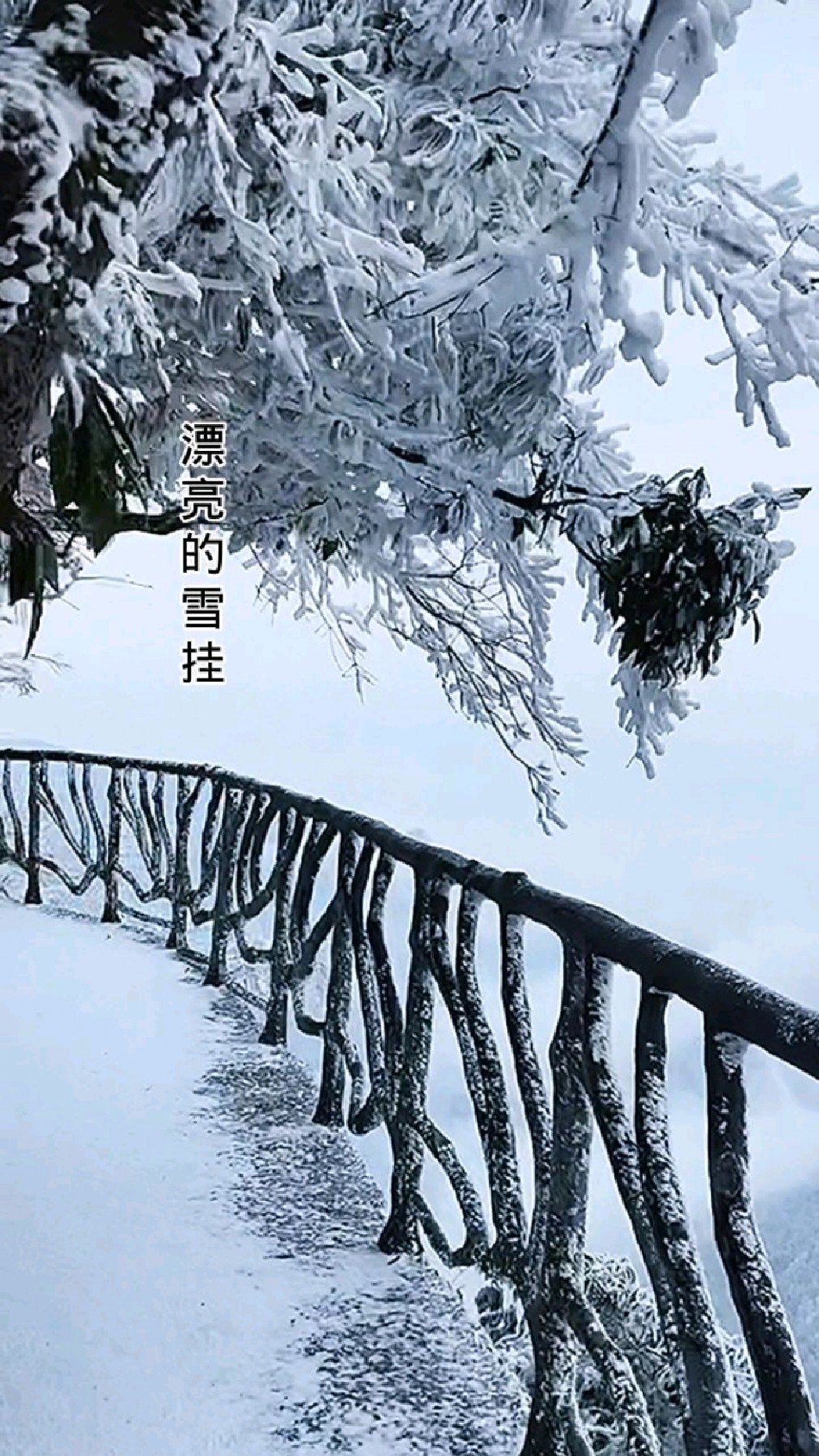 张家界天门山大雪纷飞银装素裹雪挂云雾奇峰美如仙境