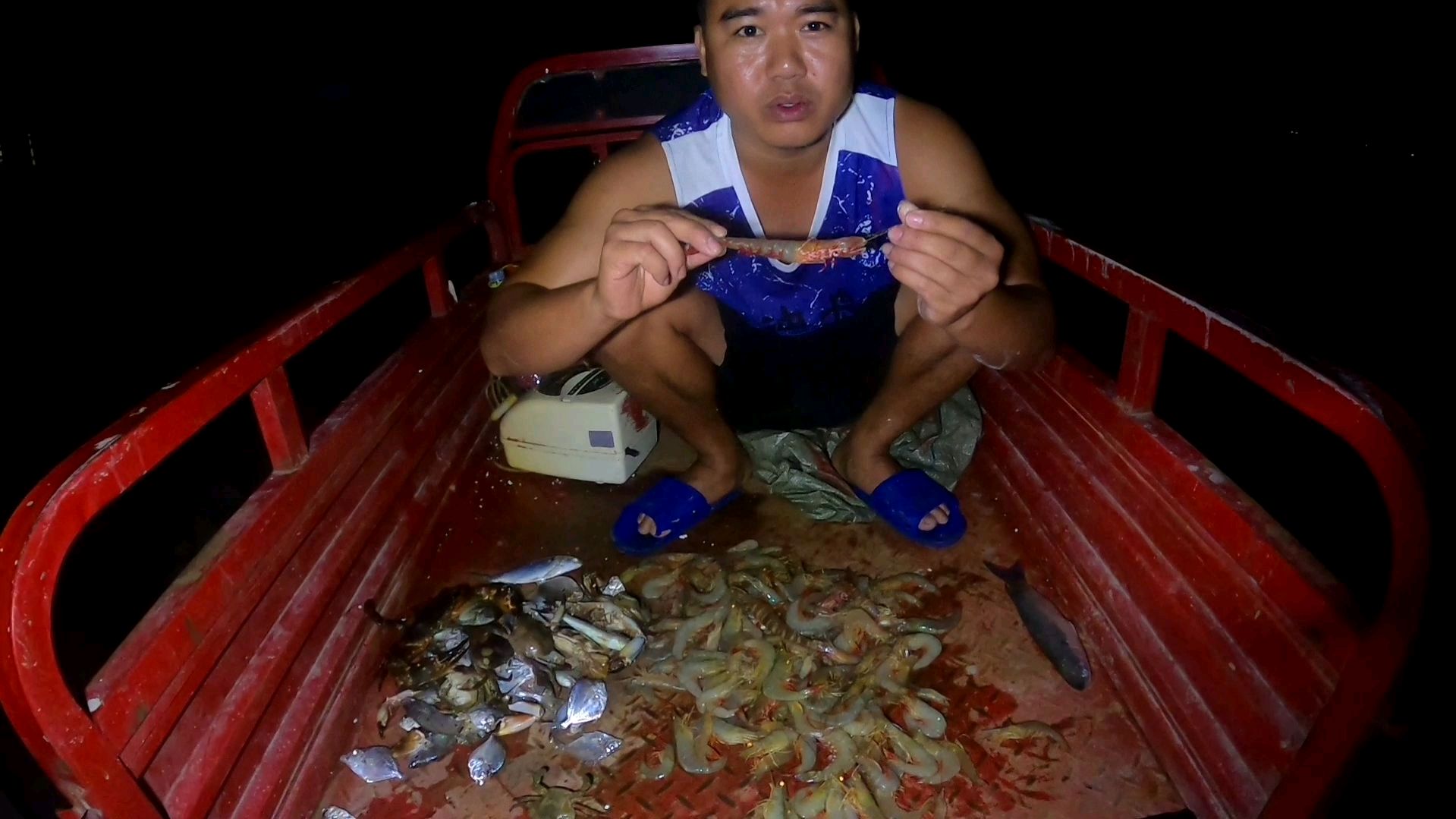 景区虾窝下网,随便下都中这么多,太多全缺氧了,也能卖80一斤