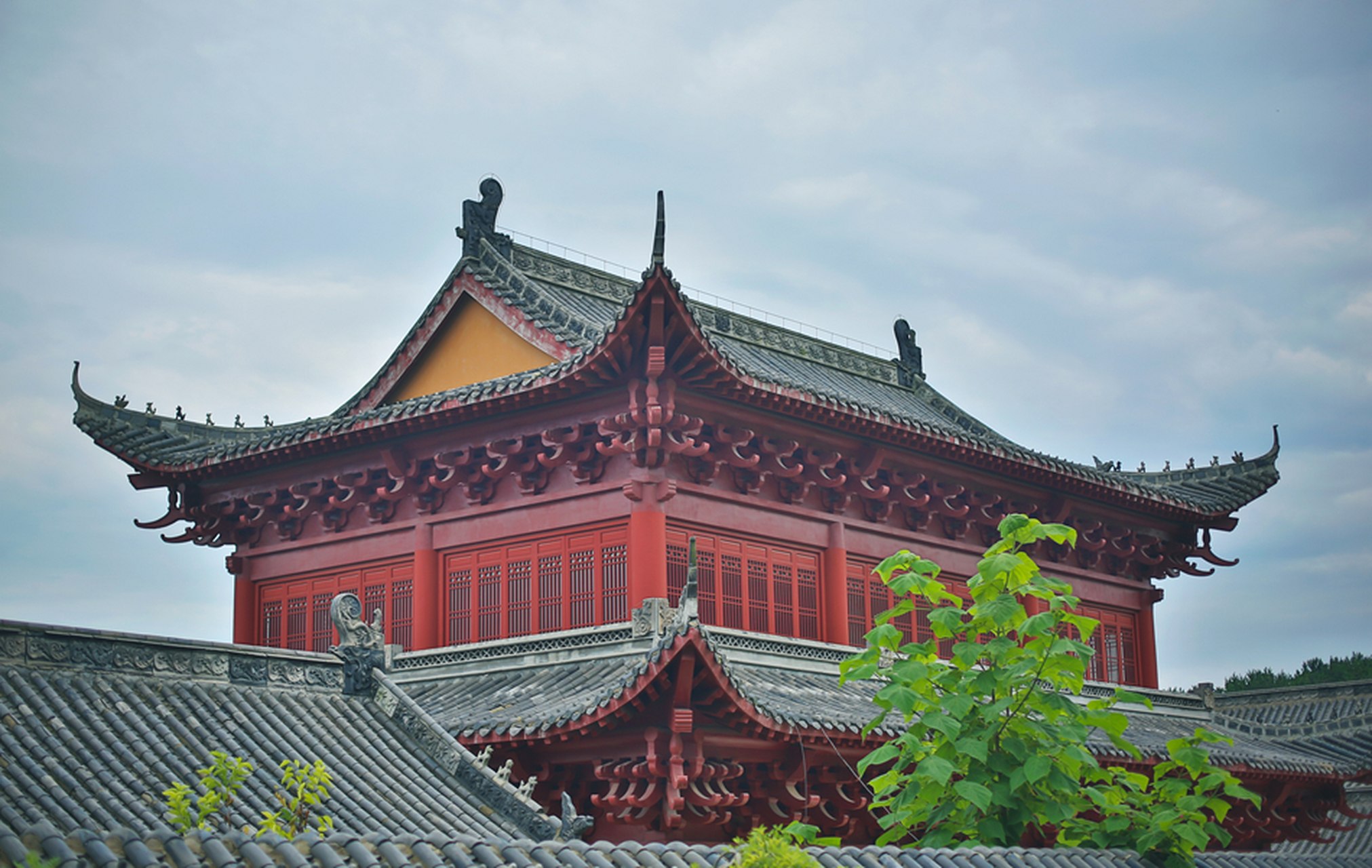 到黄柏山多次,但法眼寺每次都是匆匆而过.