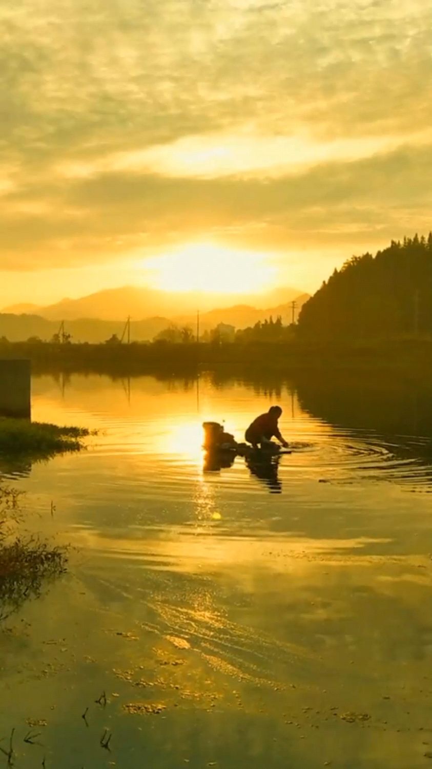 经典歌曲:涛声依旧