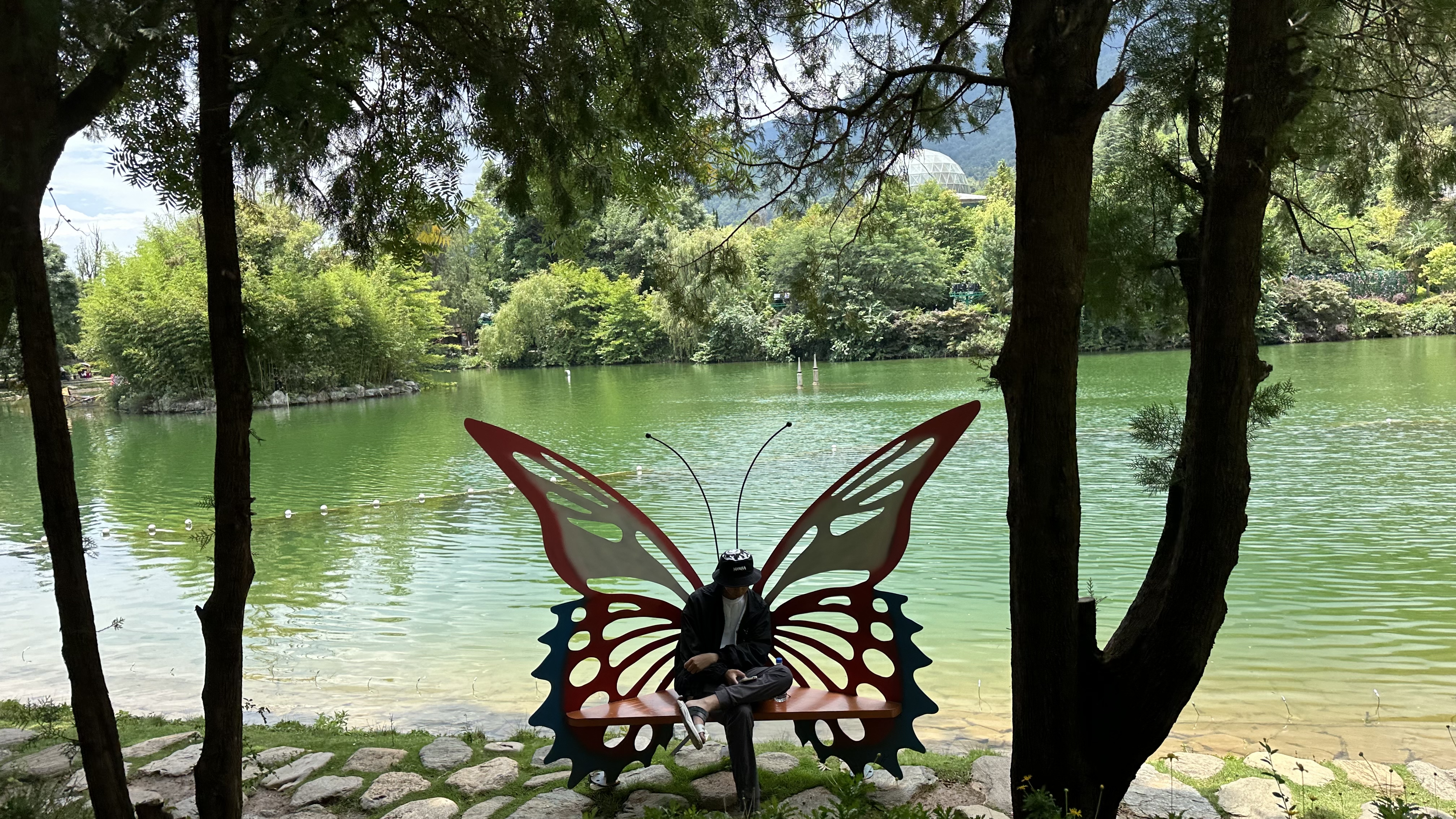 打卡千古佳话大理的蝴蝶泉太美啦!