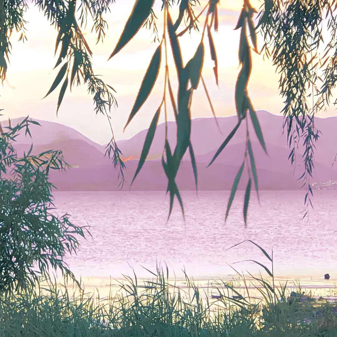 小红书保存图片去除水印