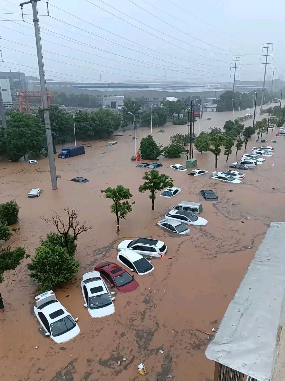 水泡车图片大全高清图片