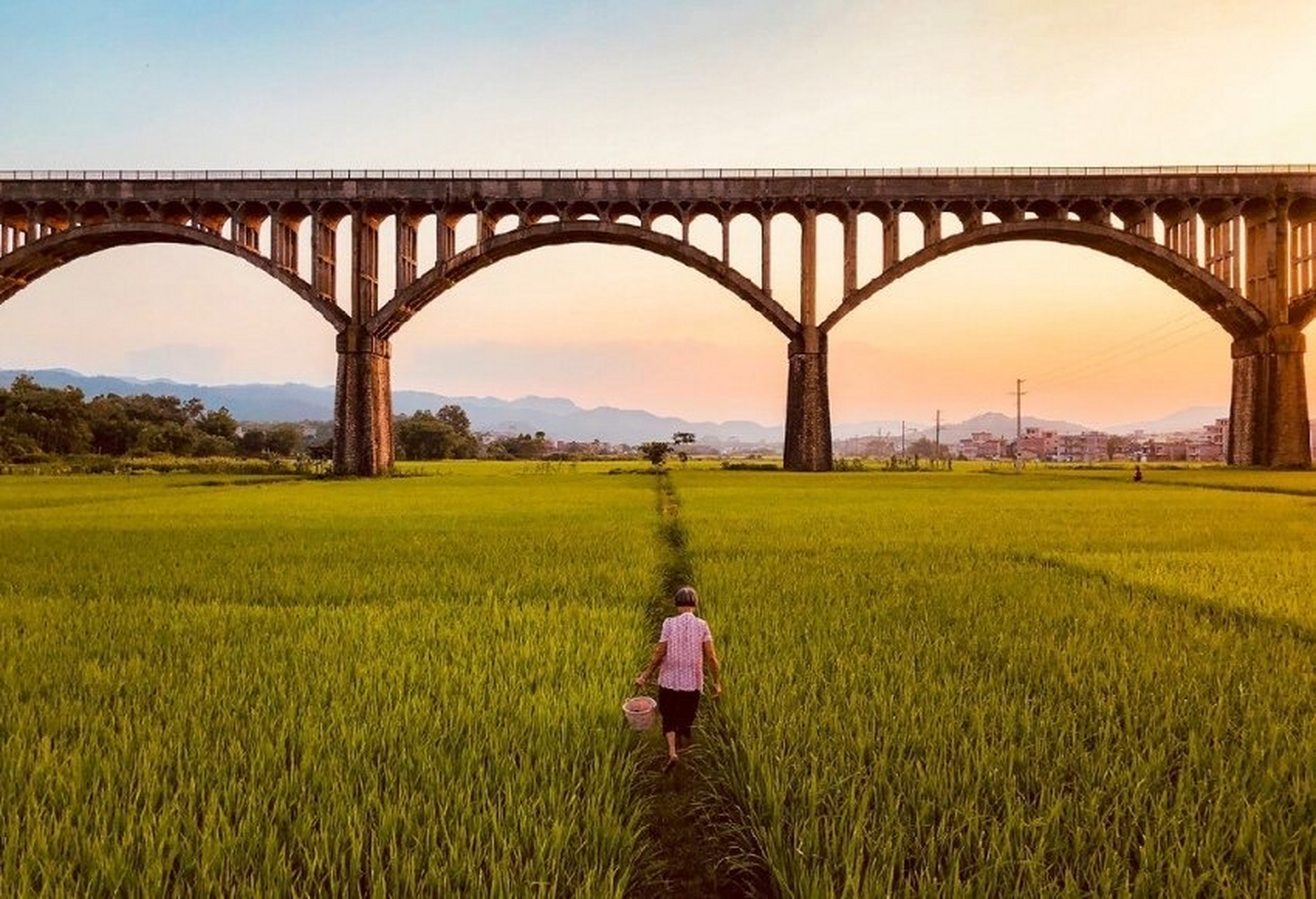 一条大河波浪宽,风吹稻花香两岸 … 676767