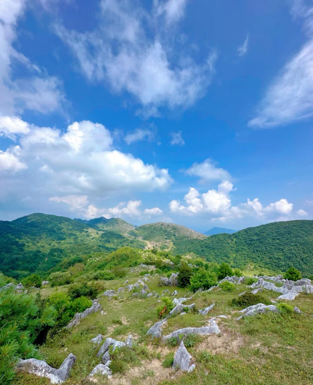 北羊山也叫北阳山,位于陕西省商洛市镇安县东南六十公里处,被称为长安