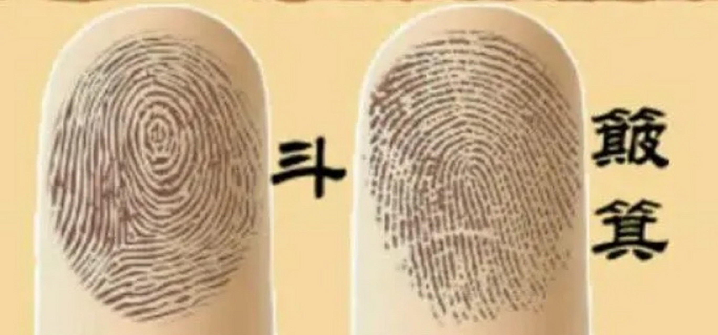 原来在农村有这样一句老话:"十指无斗全簸箕,此