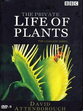 《 植物私生活》传奇世界埋骨之地怎么去