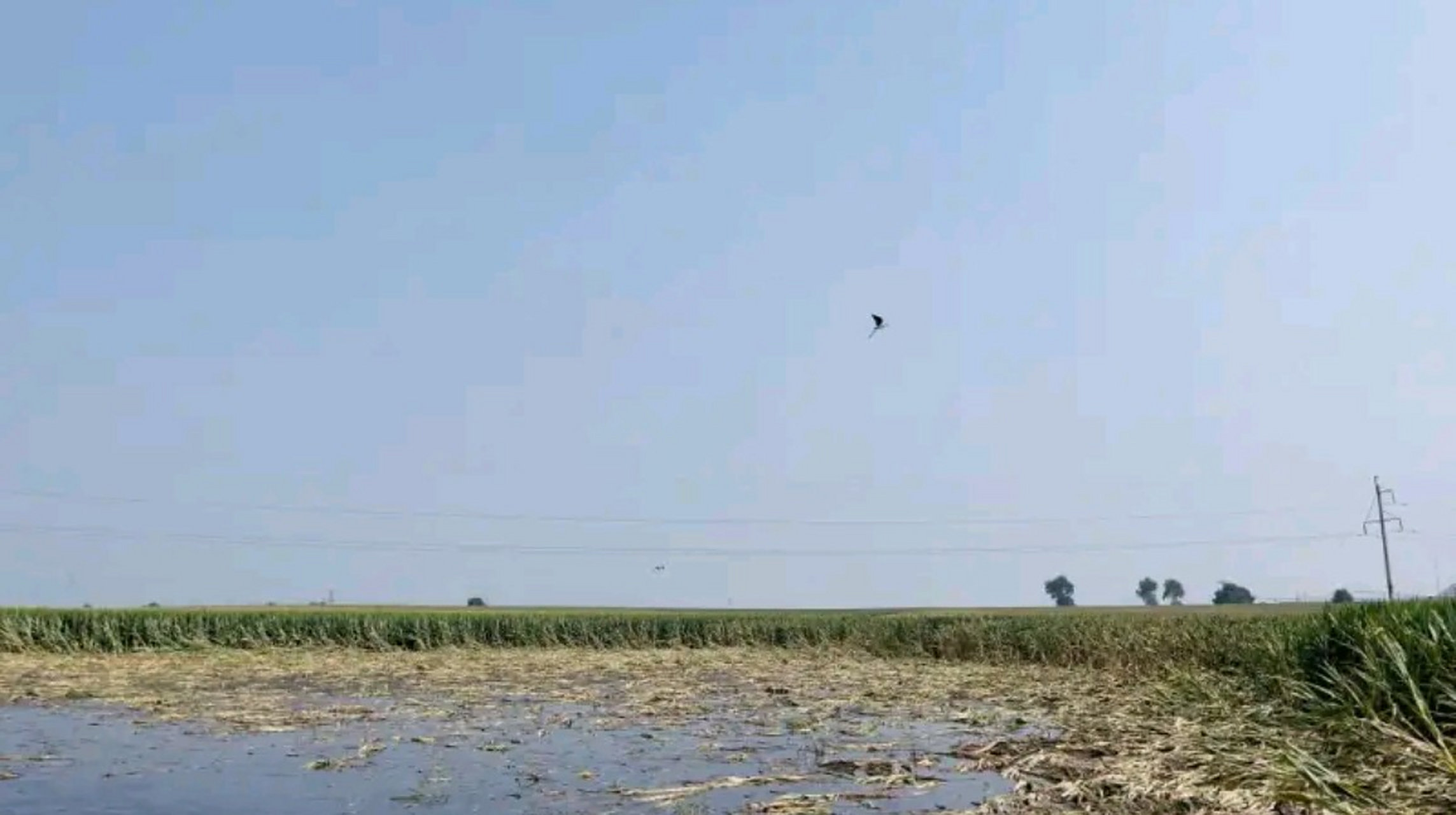 铁岭调兵山市晓明镇,晓南镇,大明镇多个行政村周边的耕地,均有不同
