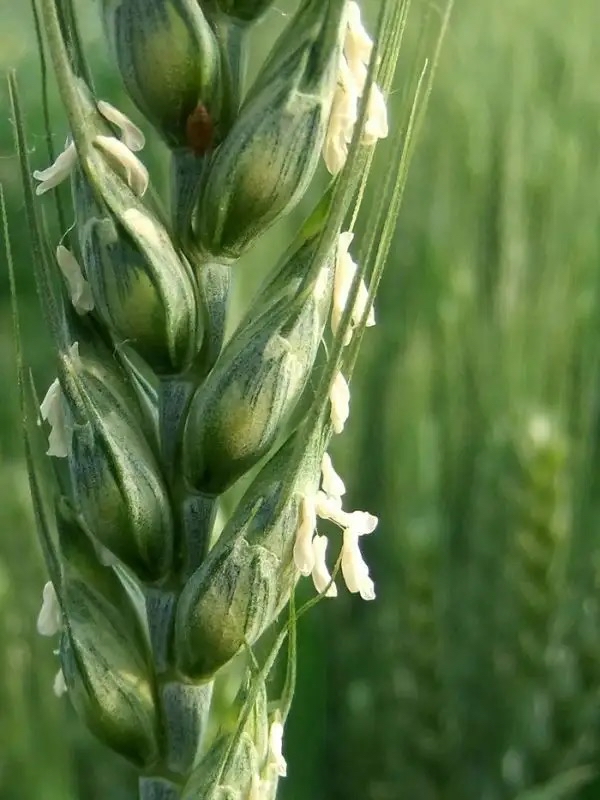 600_800竖版 竖屏