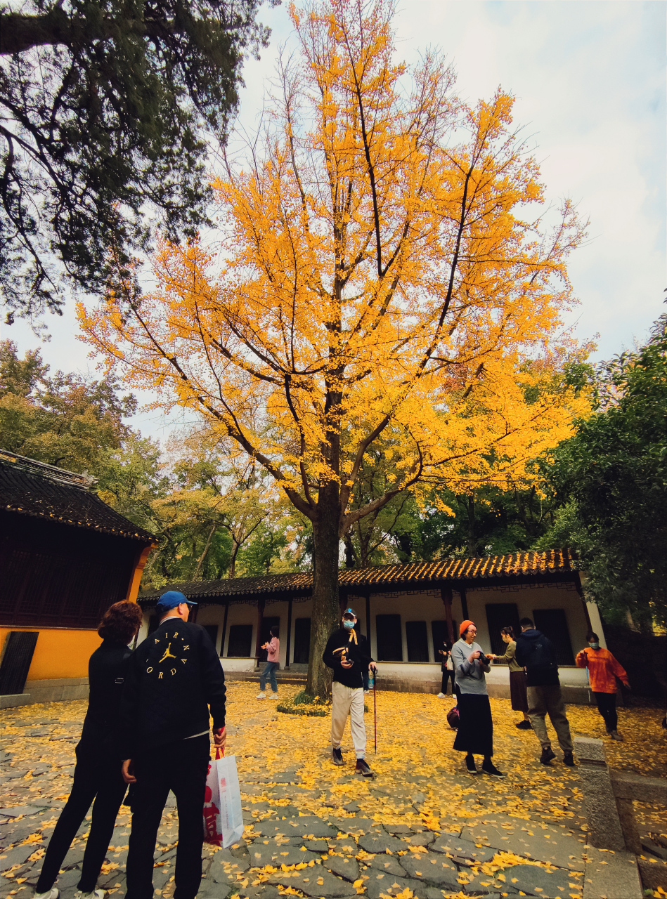 范文正公忠烈庙即范公祠,1982年被列为苏州市文物保护单位,1995年被列
