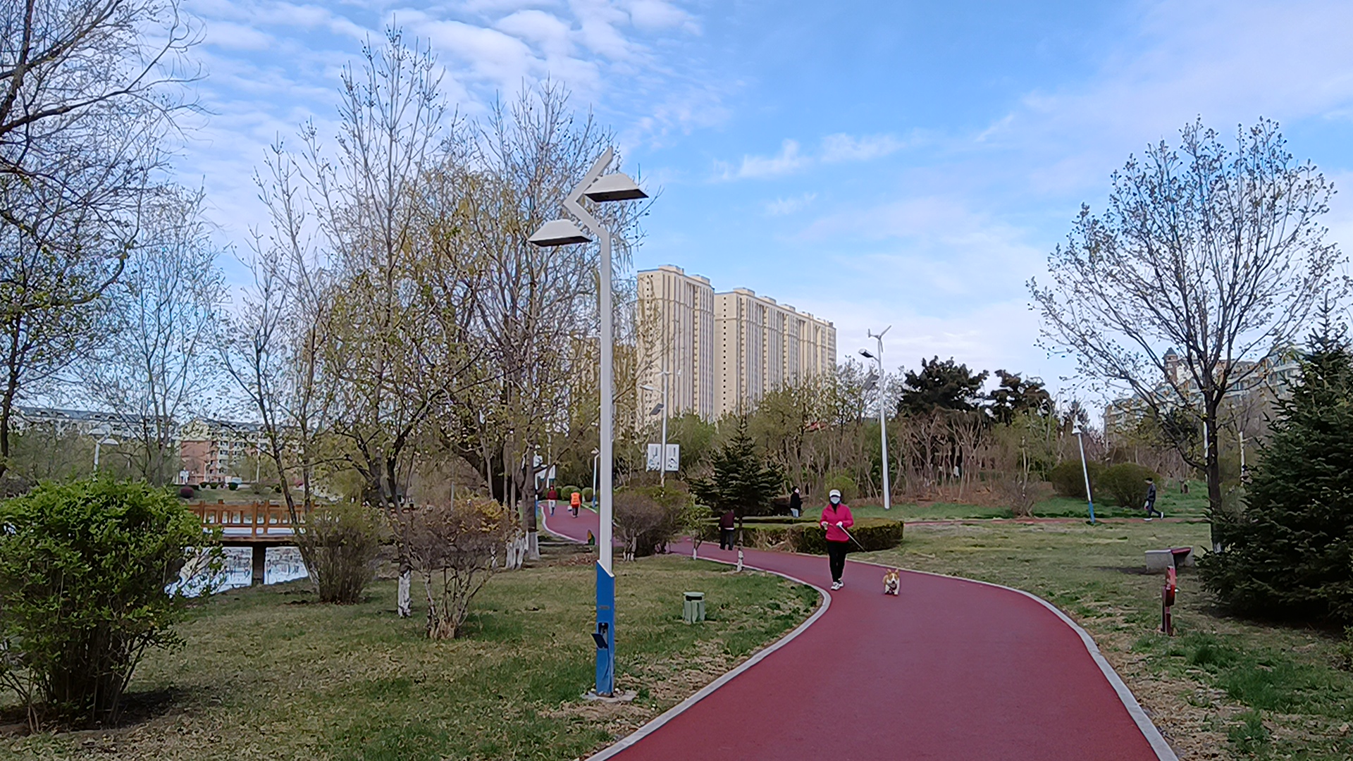 被人称为臭水泡子的镜湖公园,到底美在哪里?