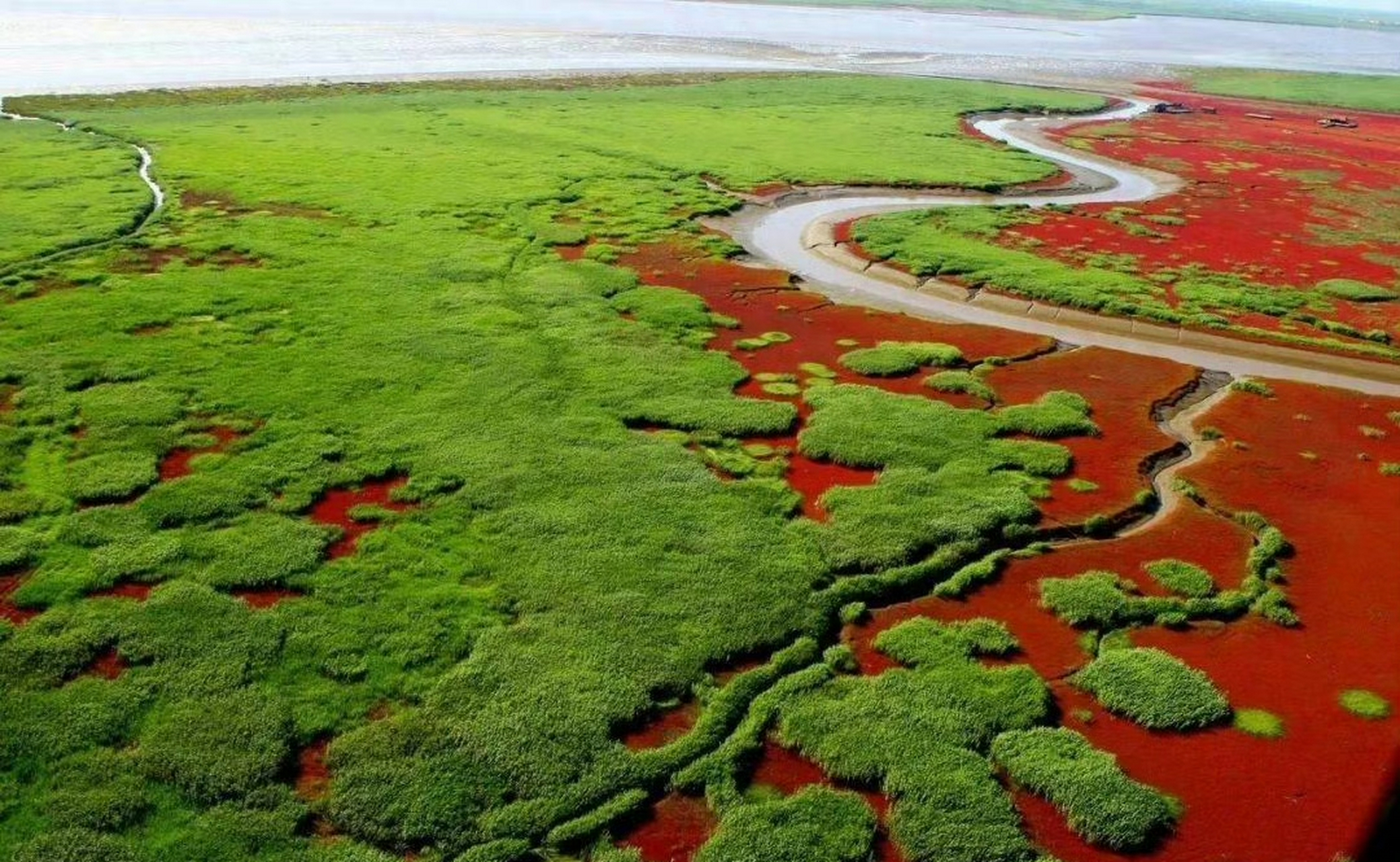 辽宁盘锦红海滩 ,红海滩国家风景廊道是全球独一无二的"世界红色海岸