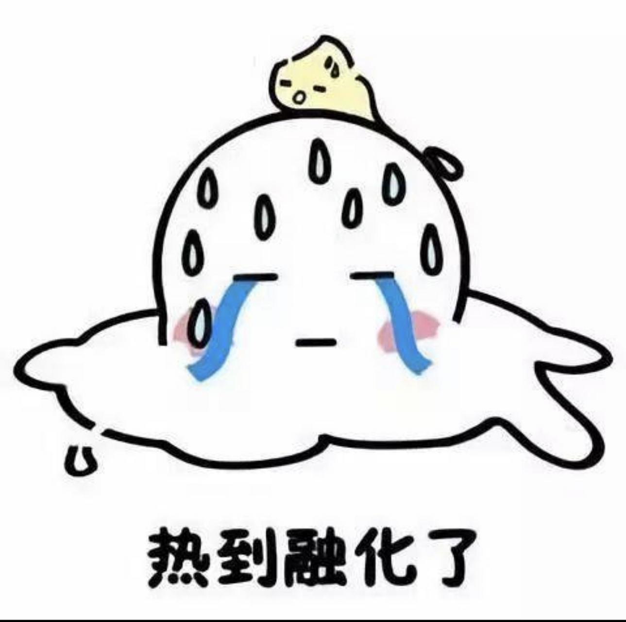 杭州前段时间热到融化,这段时间有优点冷飕飕的[捂脸]