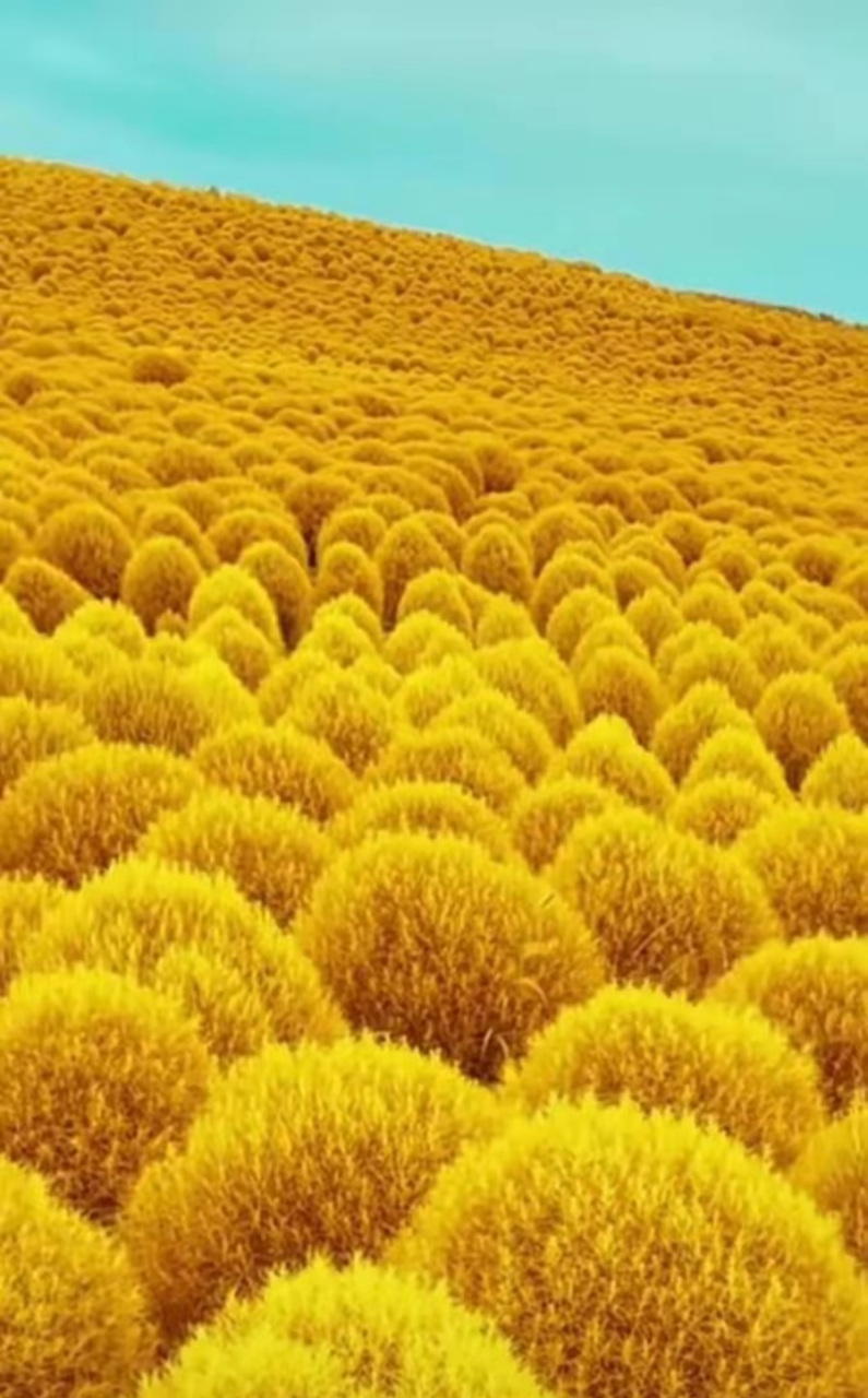 看下面图,开曼群岛真是香啊.一幅图读懂华为.