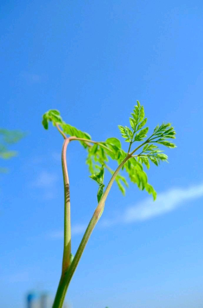 690_1045竖版 竖屏