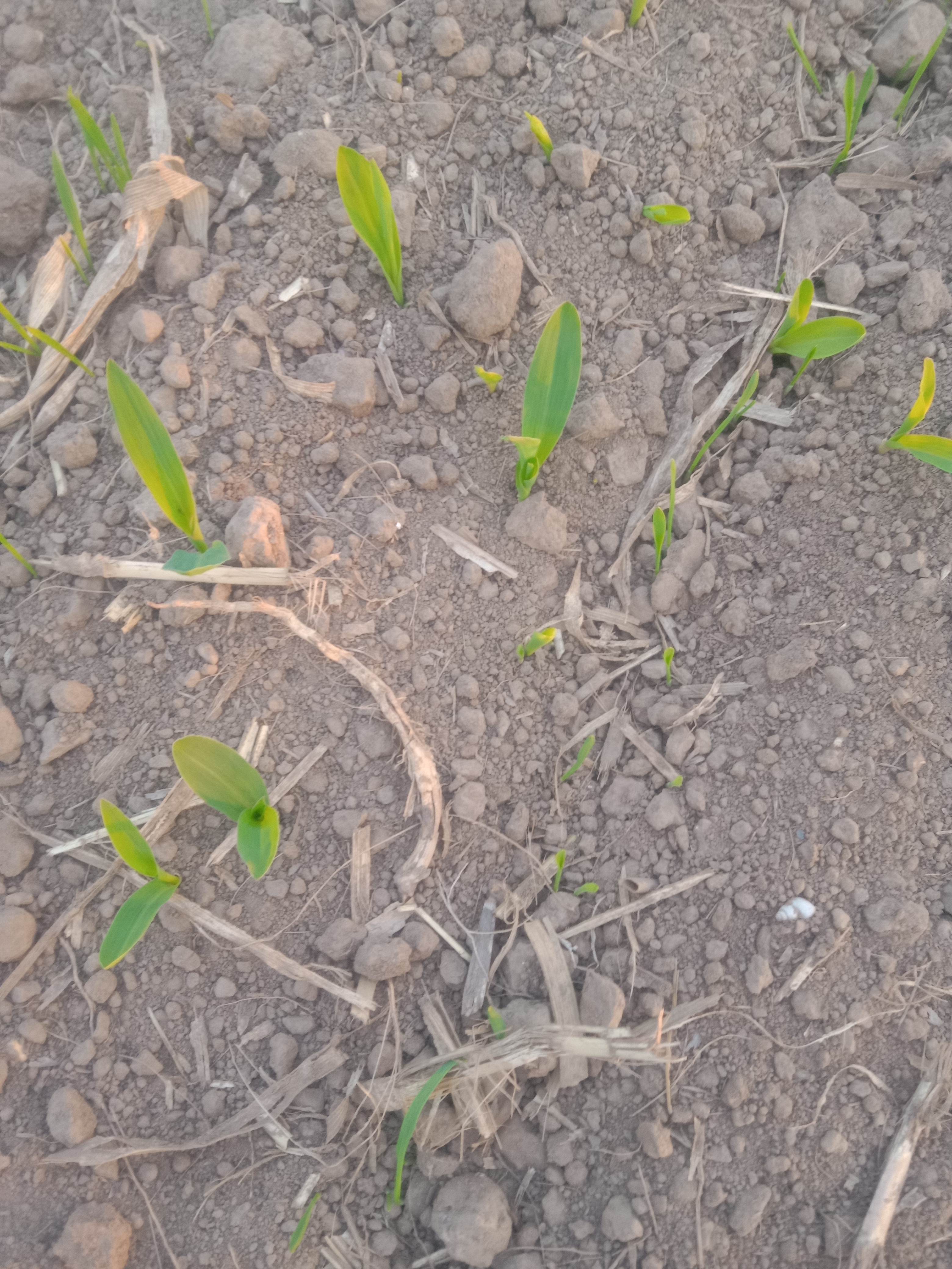 一辆车子二十万买的,开了十年,买了五万,也没人说啥