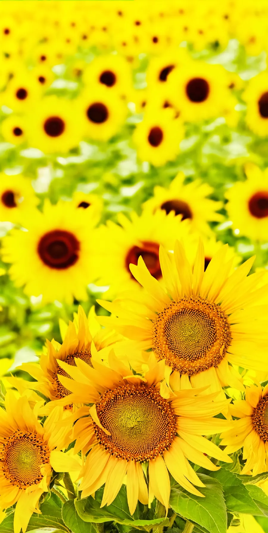 打磨自己的心态