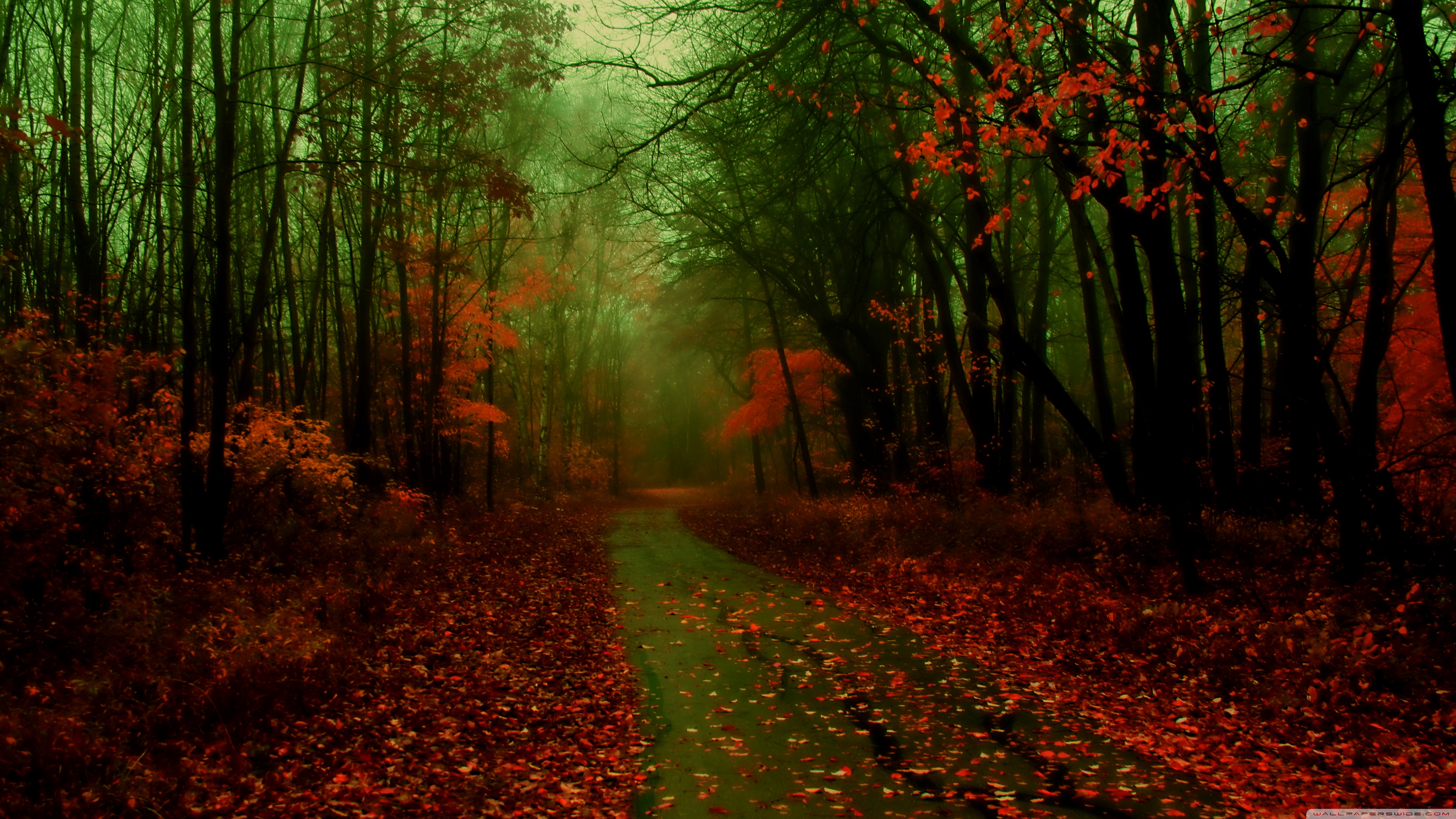 自然的美,美不胜收啊