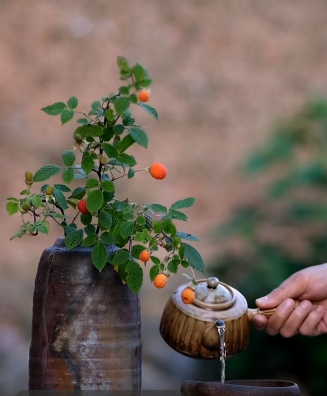 这茶喝的太有意境,太有年代感了.