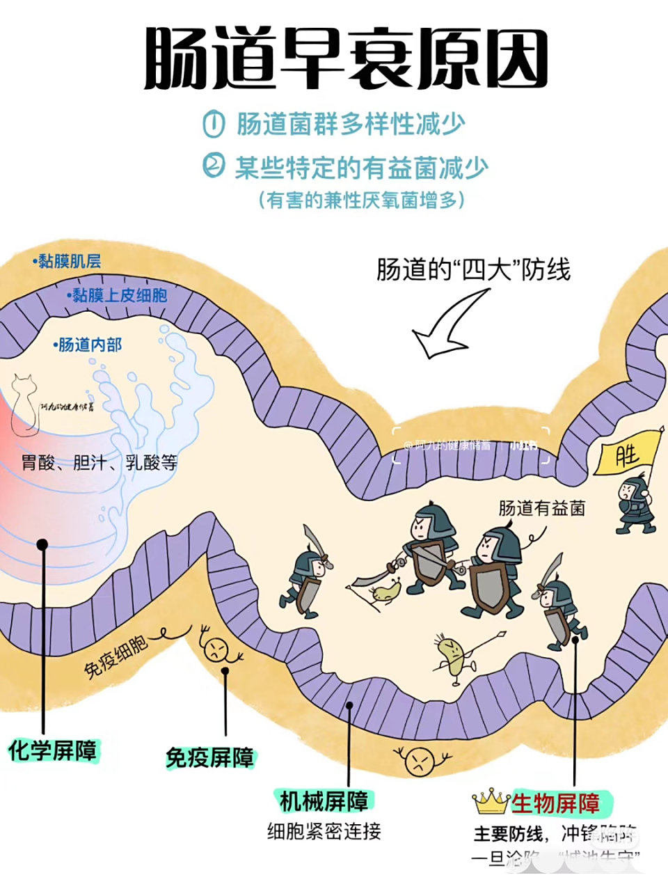 人老肠先衰[干杯]肠道早衰是人体衰老的信号[牛斯