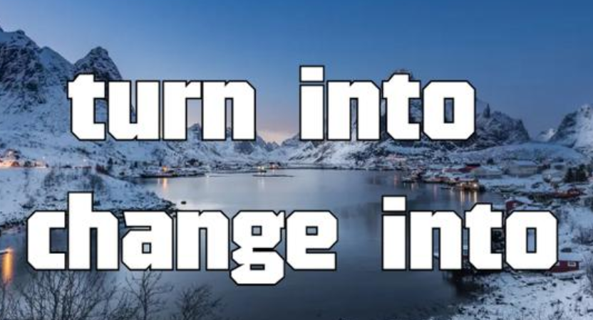 turn into和change into的区别