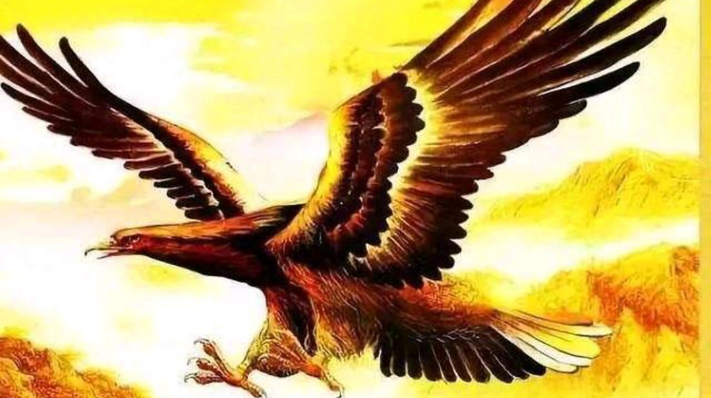 传说龙生九子,凤育九雏,凤凰最有名的孩子就是孔雀和大鹏.