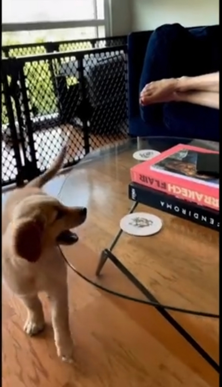 为什么总是够不到呢?[捂脸][捂脸]