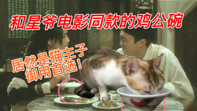 和星爷电影同款的鸡公碗,居然是猫咪主子的御用首选