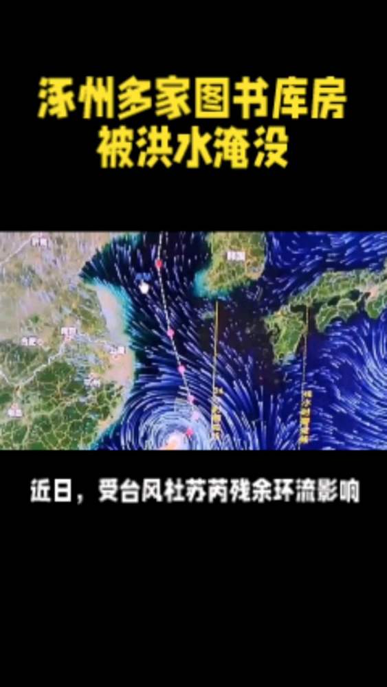 损失过亿!当洪水穿过物流重镇,近百家图书库房亟待救援