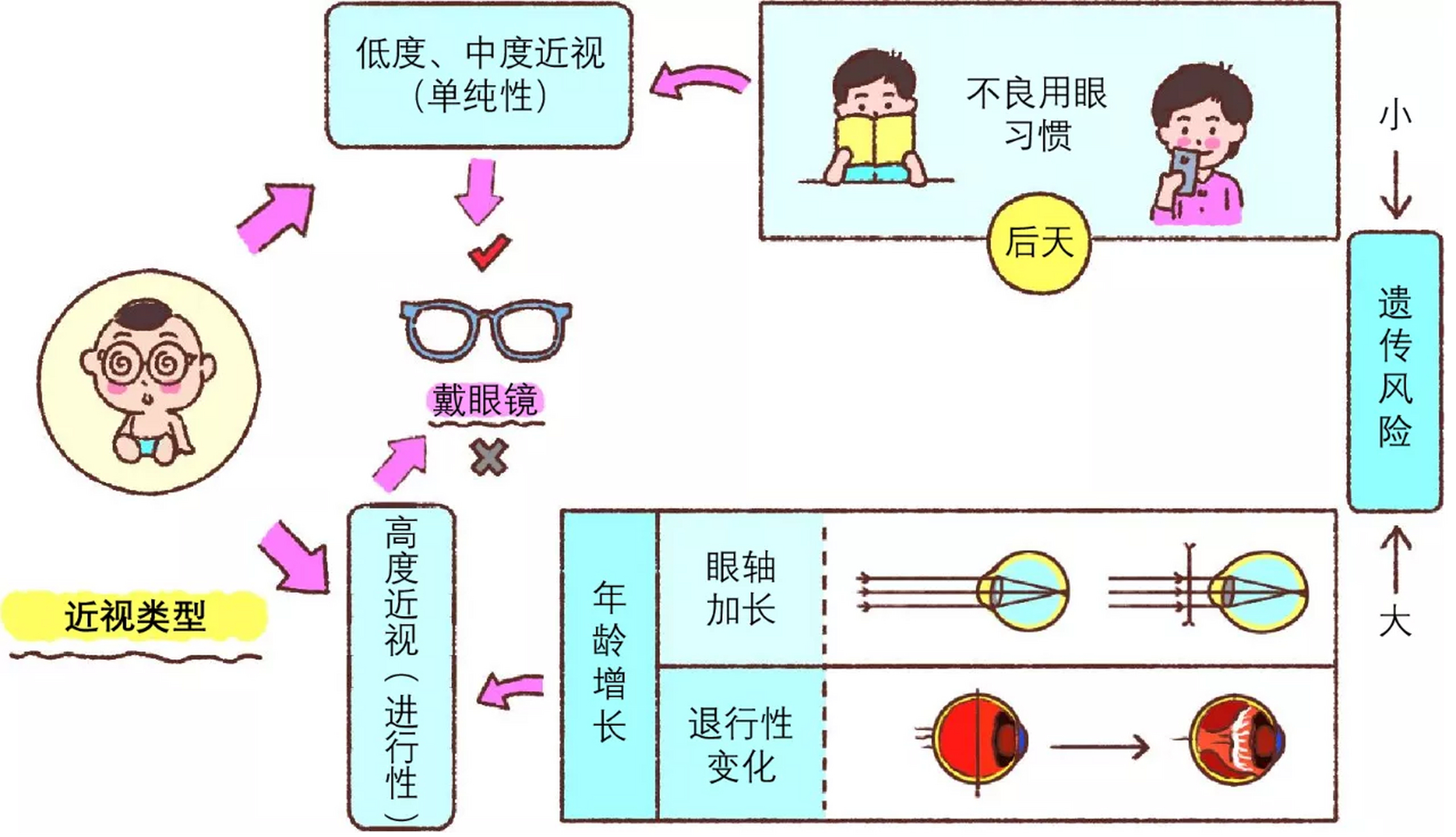 近视受遗传因素和环境因素的共同影响,父母双方均不近视时,如果孩子