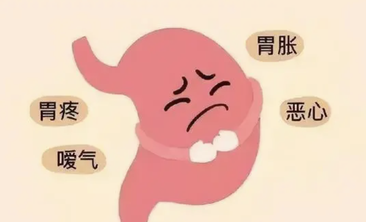 米雅酪酸梭菌:胃肠功能紊乱?这些东西不能吃